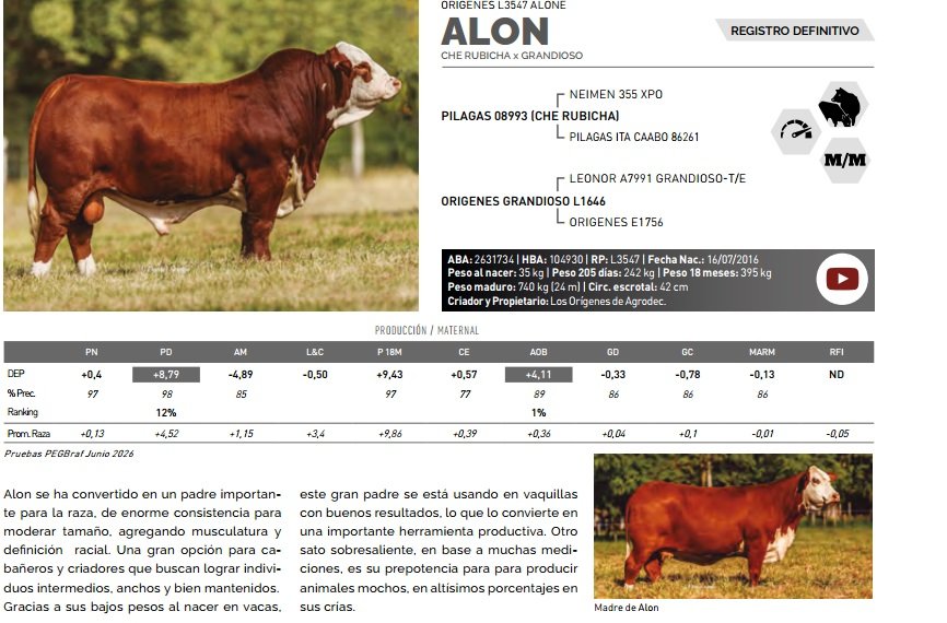 ALON