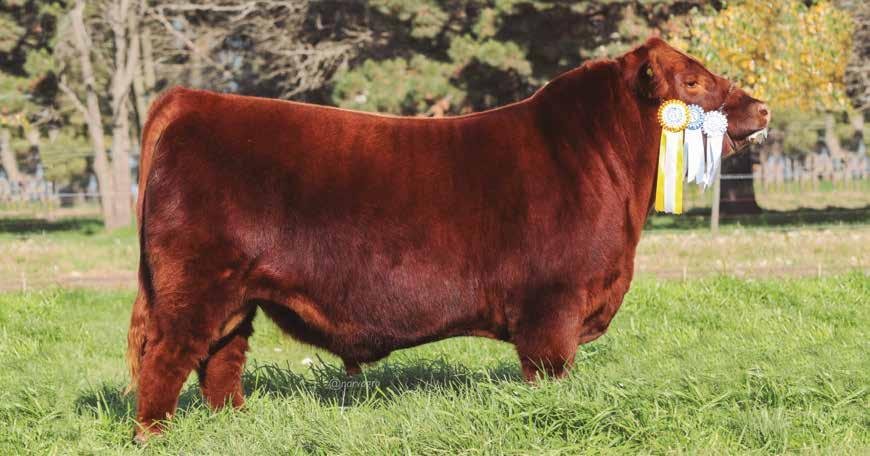 MICKY